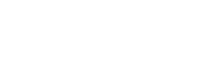 OptoDBS 2024